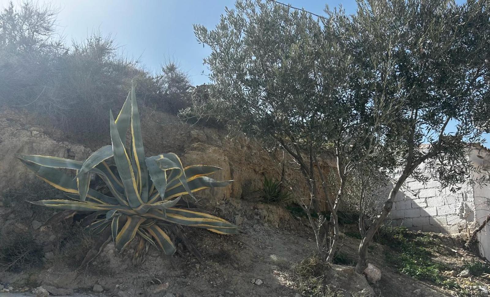 הוילה Zújar The Crystal Cave מראה חיצוני תמונה